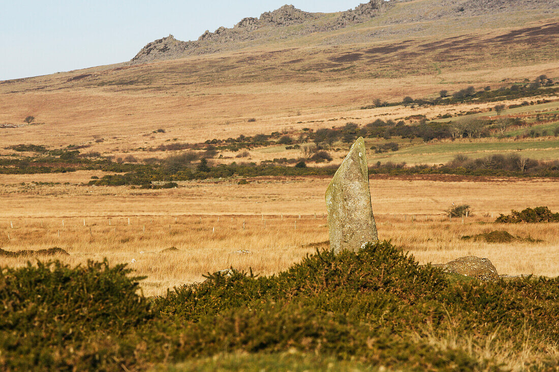 Blaue Steinsäule in einem Feld in der Nähe des Dorfes Mynachlog-Ddu; Pembrokeshire, Wales