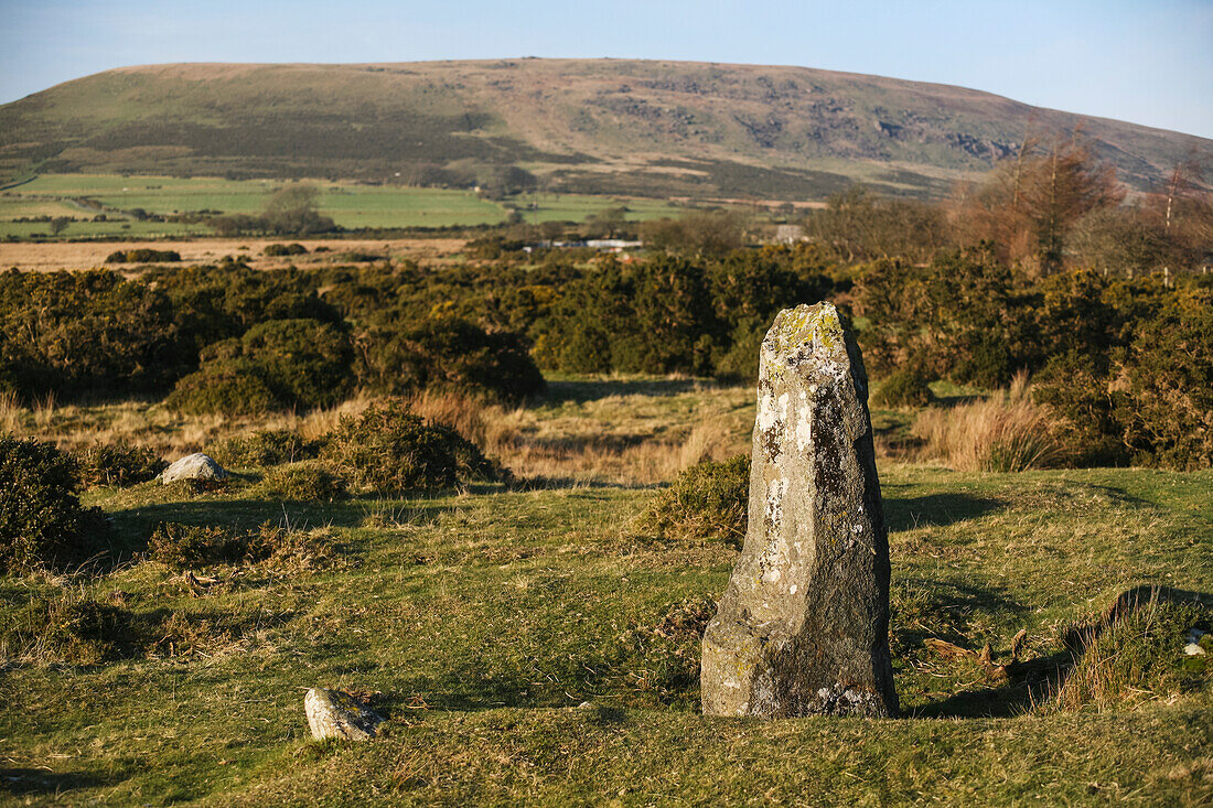 Der Traumstein oder Fersenstein am Rande von 16 blauen Steinen, die einen eiförmigen Ring am Steinkreis von Gors Fawr in einem Feld nahe dem Dorf Mynachlog-Ddu bilden; Pembrokeshire, Wales