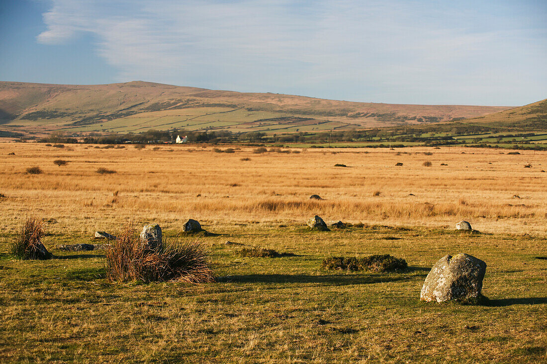 16 blaue Steine bilden einen eiförmigen Ring am Steinkreis von Gors Fawr in einem Feld nahe dem Dorf Mynachlog-Ddu; Pembrokeshire, Wales