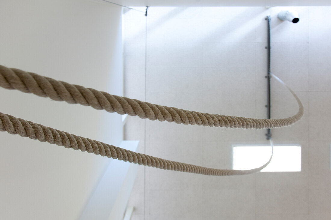 Indoor sports hall in a school, climbing ropes attached to the ceiling. 