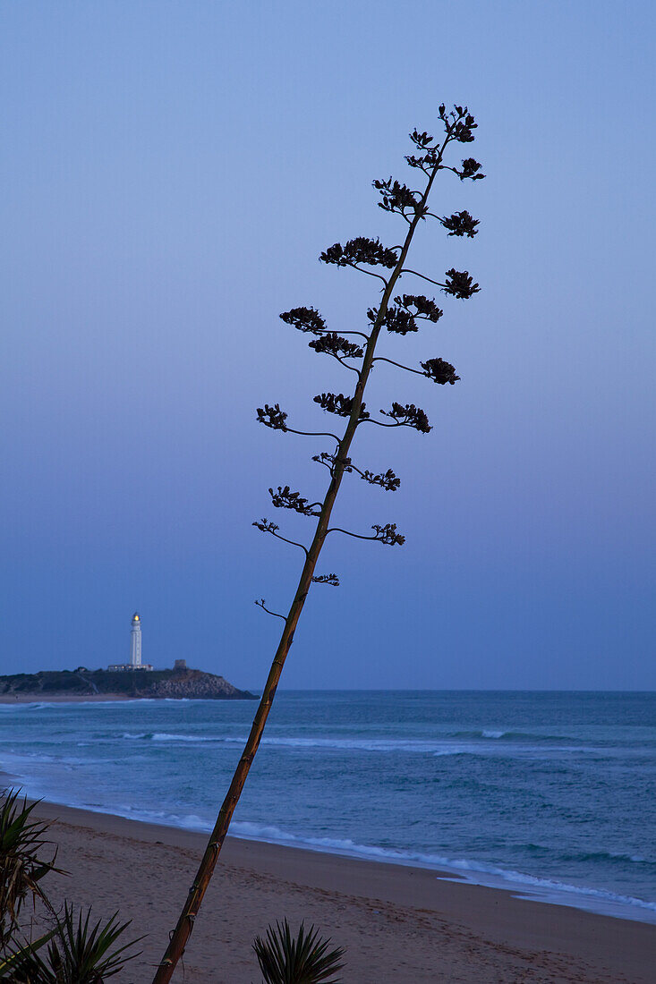 Leuchtturm am Kap Trafalgar in der Abenddämmerung; Andalusien, Spanien