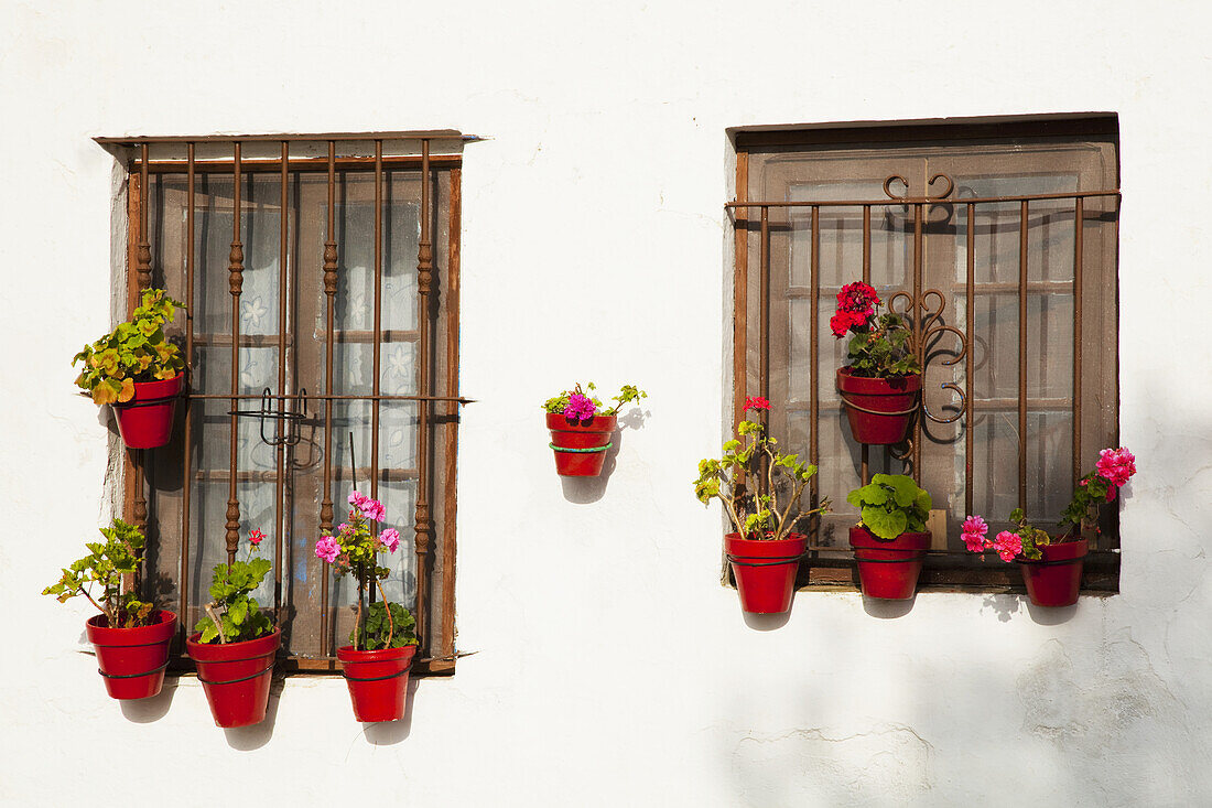 Small Flower Pots Decorate Windows, Sancti Petri, Near Chiclana De La Frontera; Andalusia, Spain