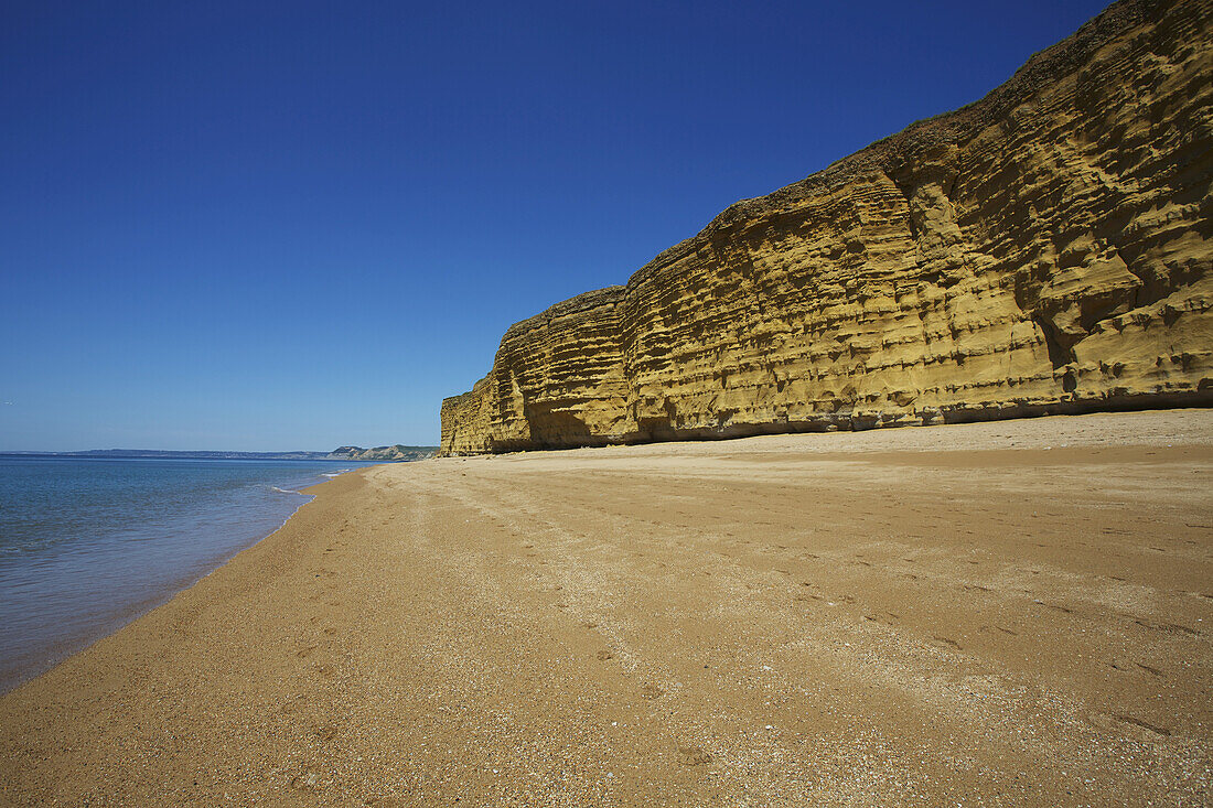 Klippen entlang des Strandes; Dorset, England