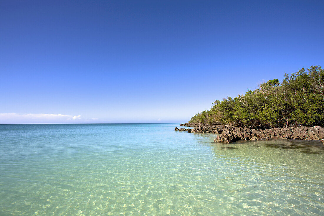 Ruhiges klares Wasser entlang der Küste; Vamizi Island, Mosambik