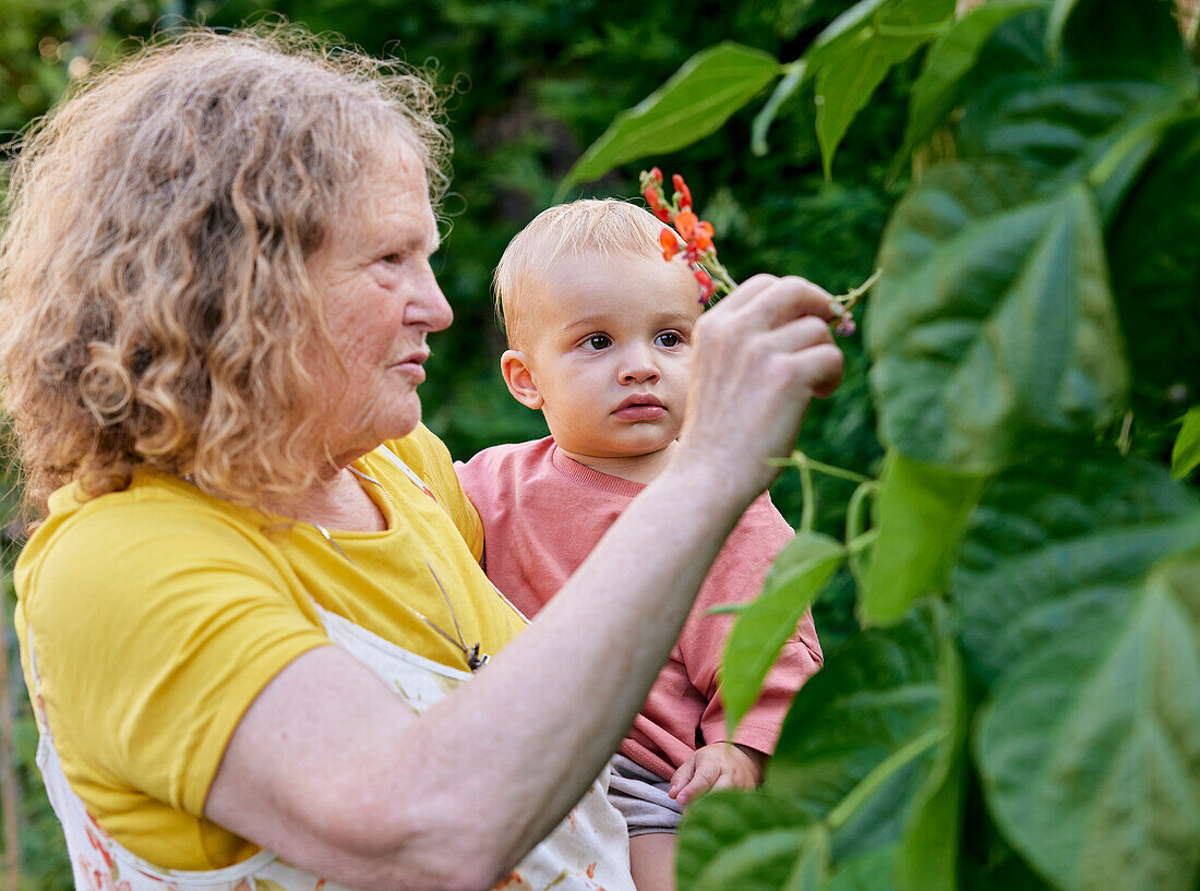 Großmutter betrachtet eine Blume mit Kleinkind im Garten