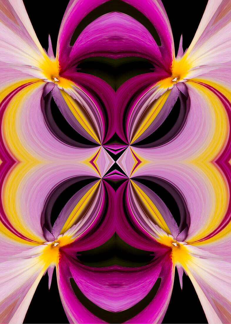 Abstract design.