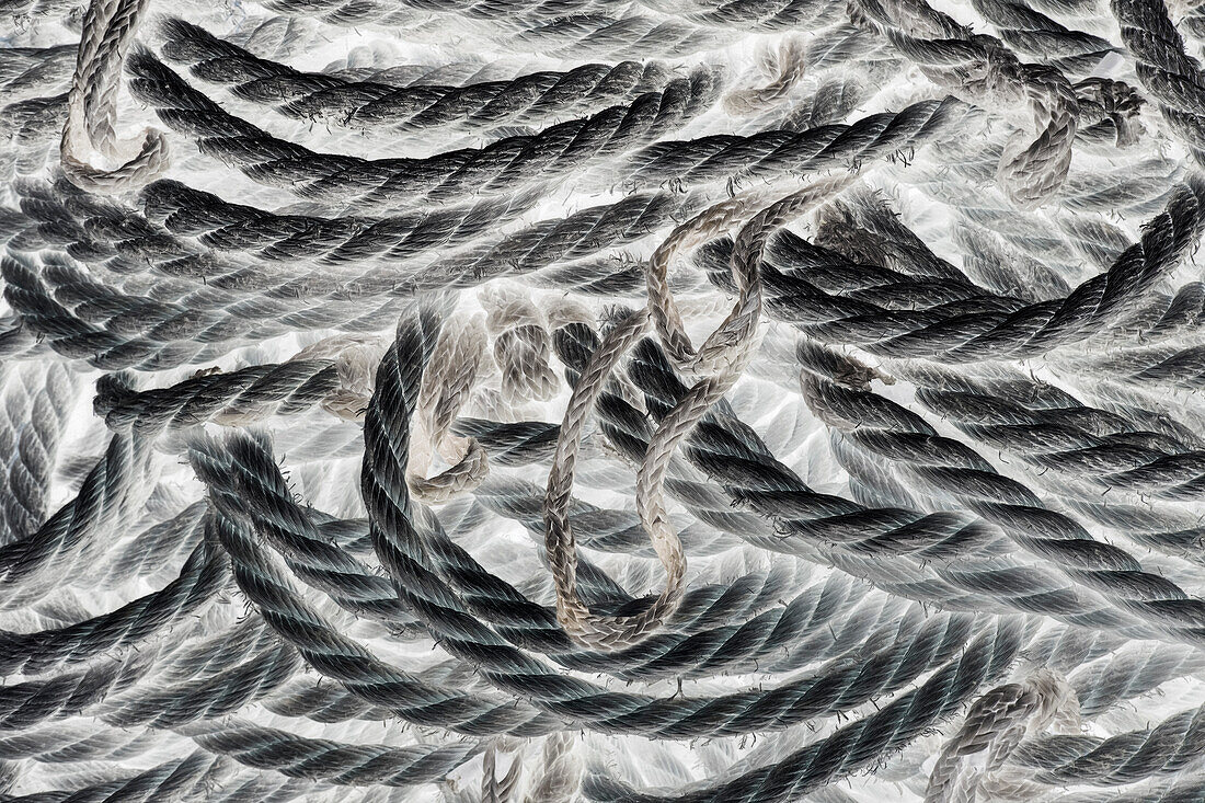A pile of industrial rope, monochrome image. 