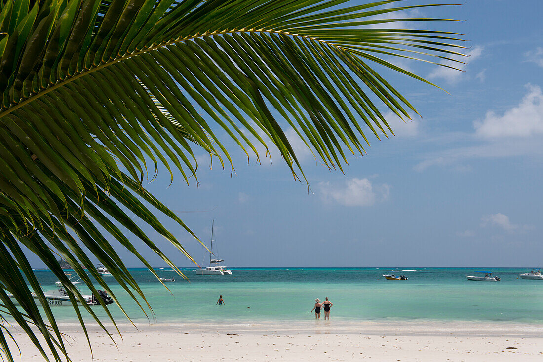 Seychellen, Praslin. Cote D'Or, einer der schönsten Strände der Insel.