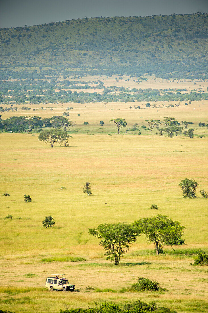 Safari-Tour