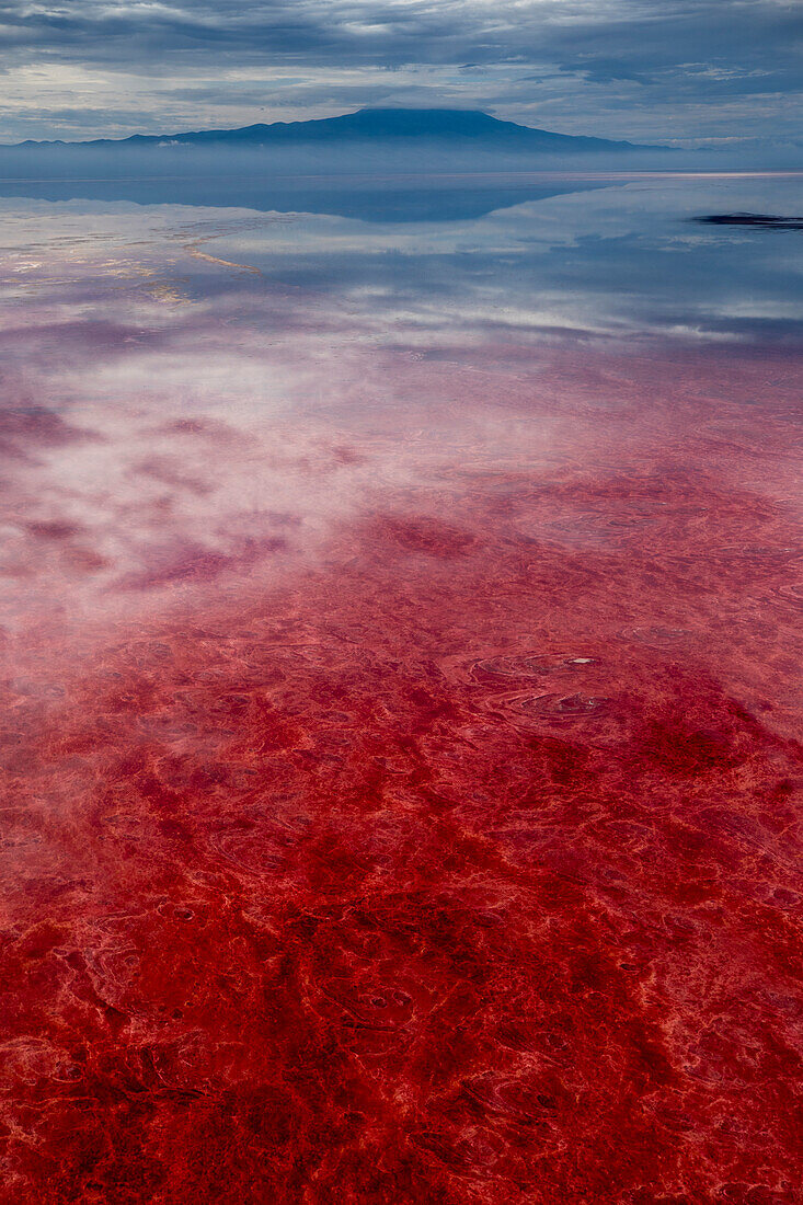 Africa, Tanzania, Enhanced contrast aerial view of patterns of red algae and salt formations in shallow salt waters of Lake Natron and distant Ol Doinyo Lengai volcano