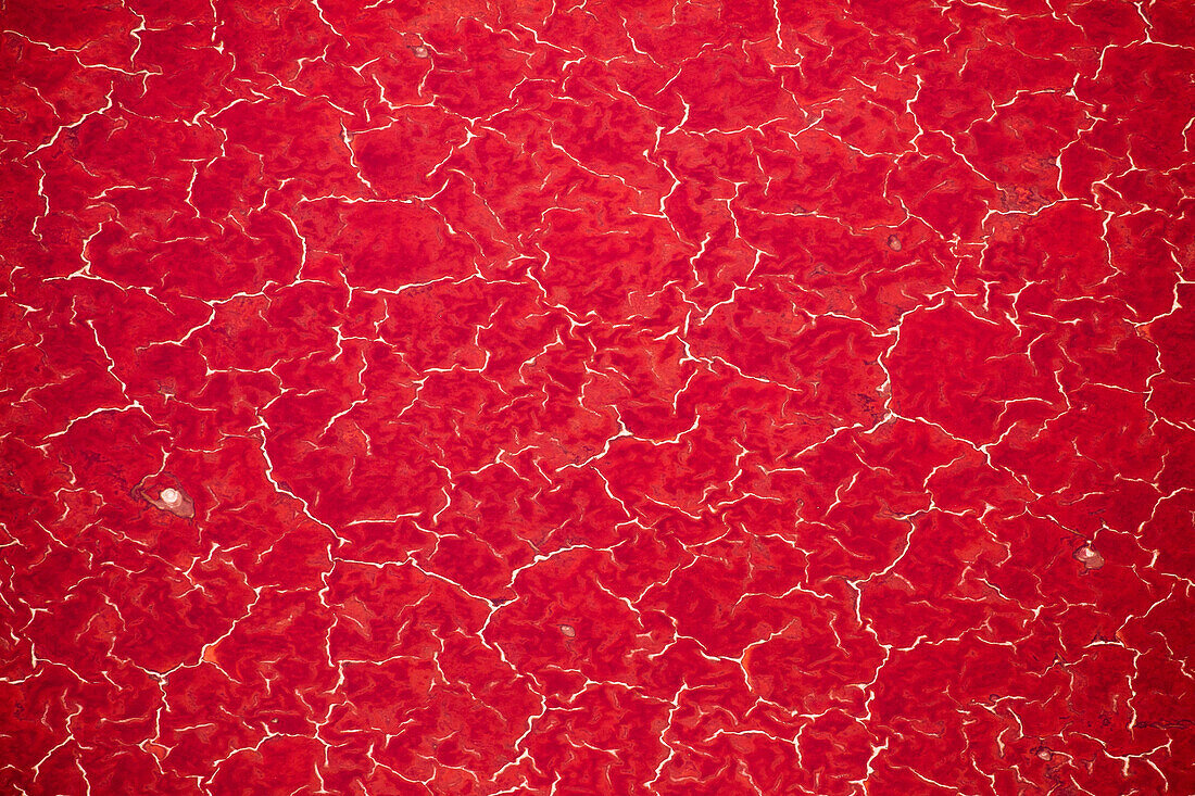 Africa, Tanzania, Aerial view of patterns of red algae and salt formations in shallow salt waters of Lake Natron