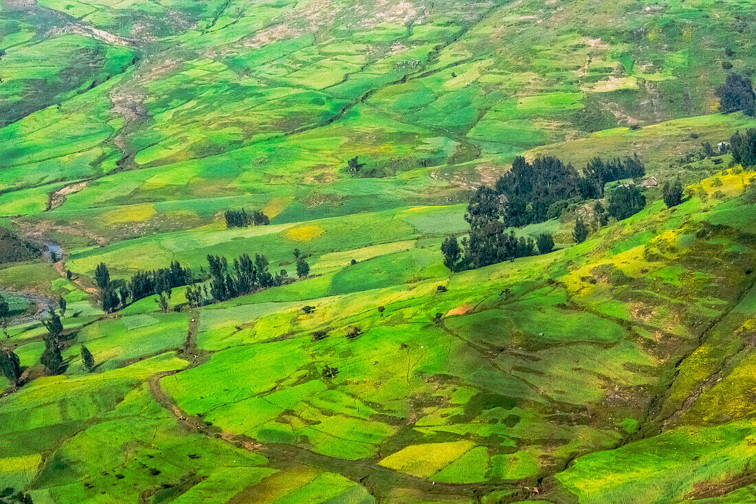 Ackerland im Simien-Gebirge, Äthiopien