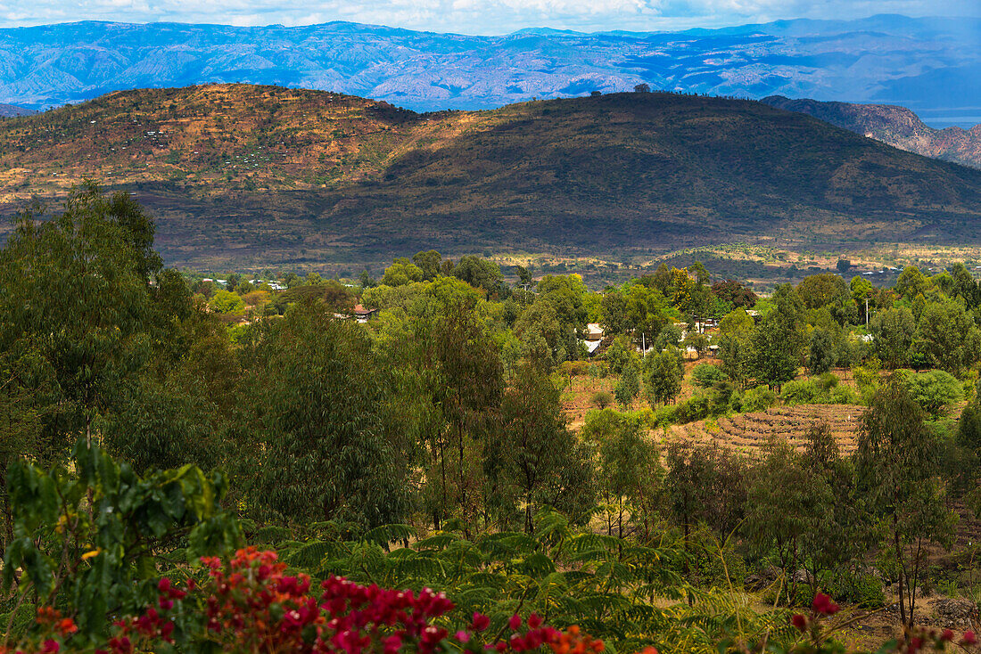Rote Blumen und Ackerland in den Bergen, Konso, Äthiopien