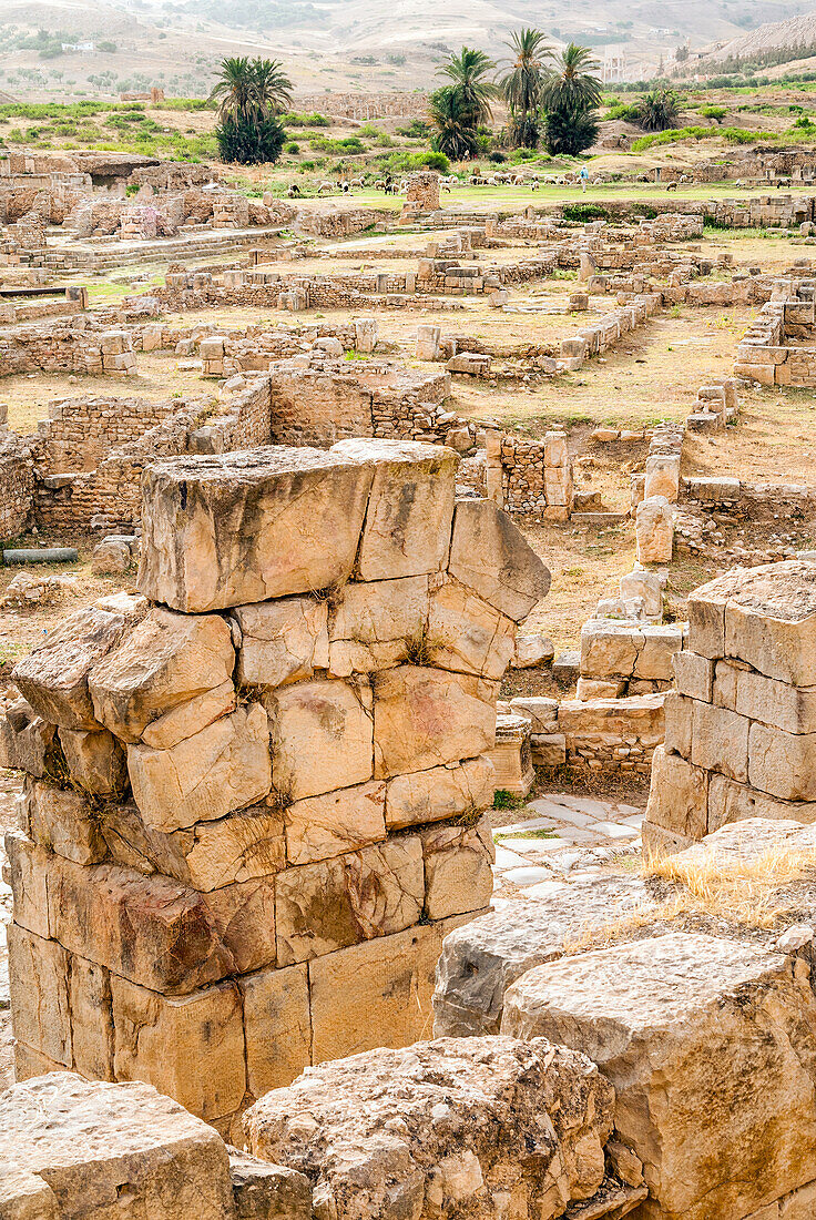 Das Theater, römische Ruinen von Bulla Regia, Tunesien, Nordafrika