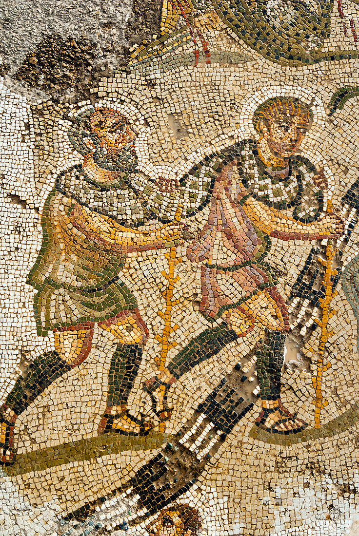 The servants, Mosaic, New House Of Hunt, Bulla Regia Archaeological Site, Tunisia, North Africa