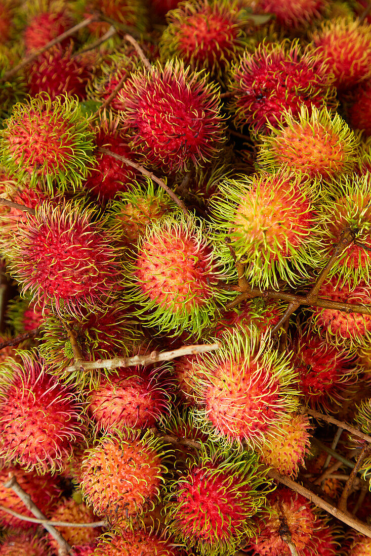 Rambutan-Frucht auf dem Can-Duoc-Markt, Provinz Long An, Mekong-Delta, Vietnam