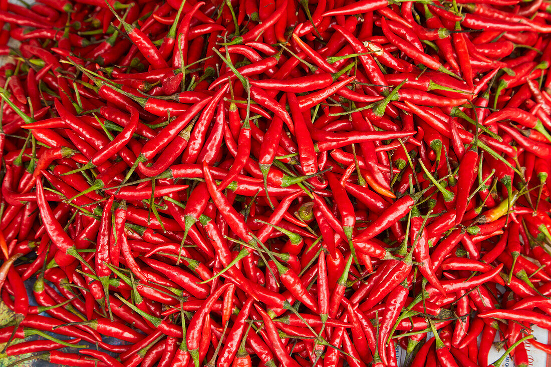 Red chili, Dong Ba Market, Hue, Thua Thien-Hue Province, North Central Coast, Vietnam