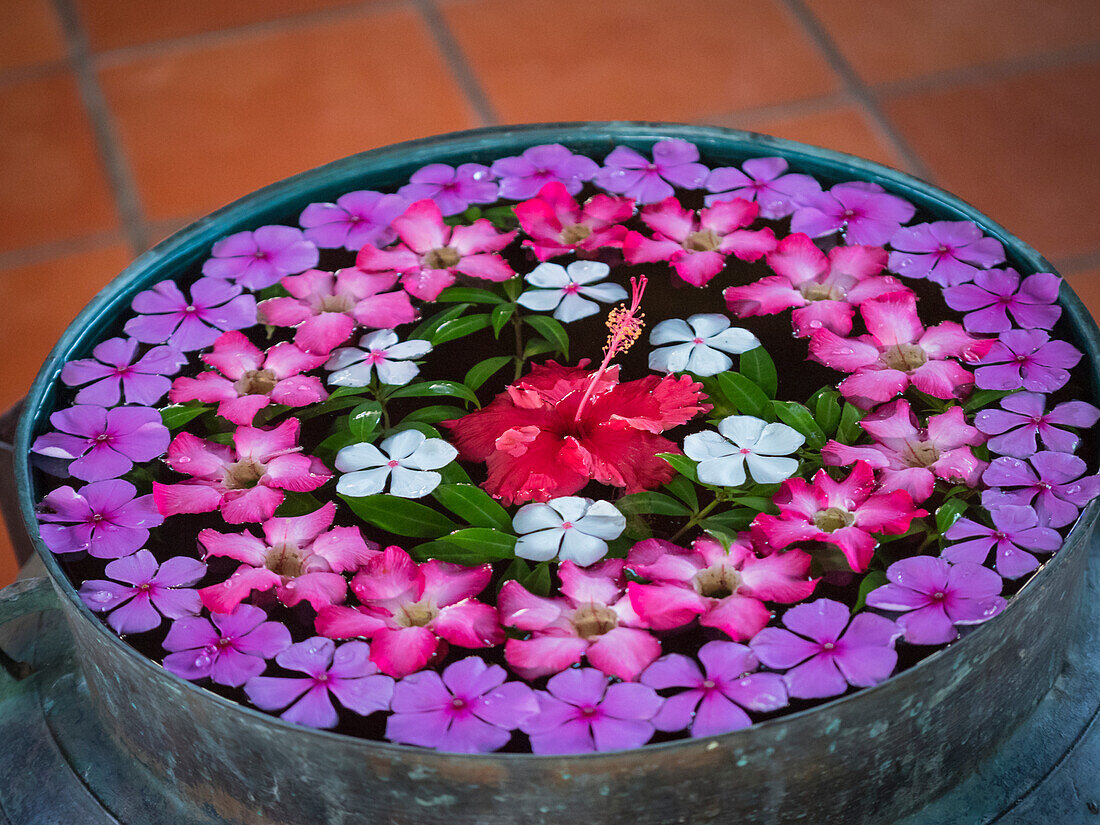 Asien, Vietnam, Mui Ne. Rote, weiße, rosafarbene und violette Blumen schwimmen in einer Schale mit Wasser.