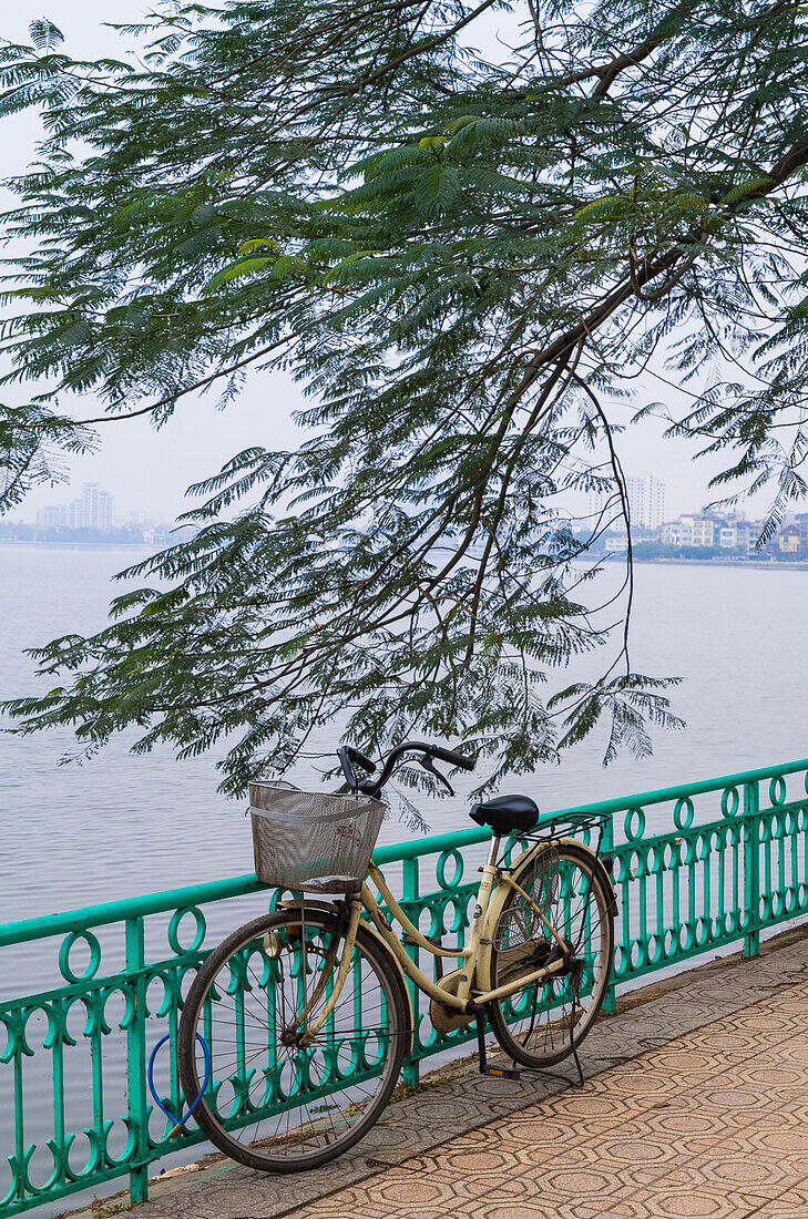 Vietnam, Hanoi. Tay Ho, West Lake, bicycle