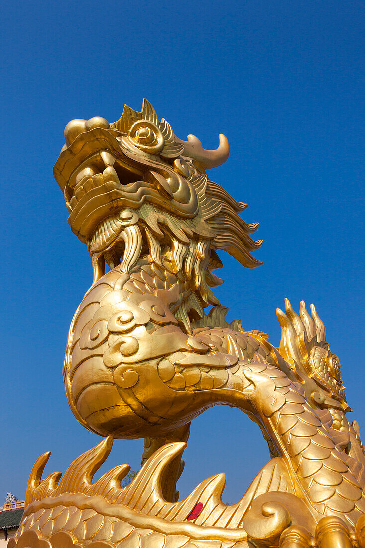Vietnam, Hue Imperial City. Golden Dragon statue