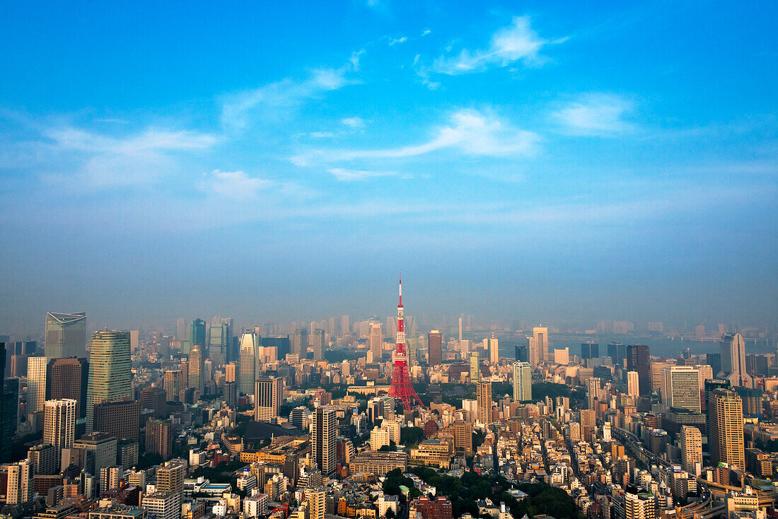 Skyline des Stadtzentrums, dominiert vom Tokyo Tower, Tokio, Japan