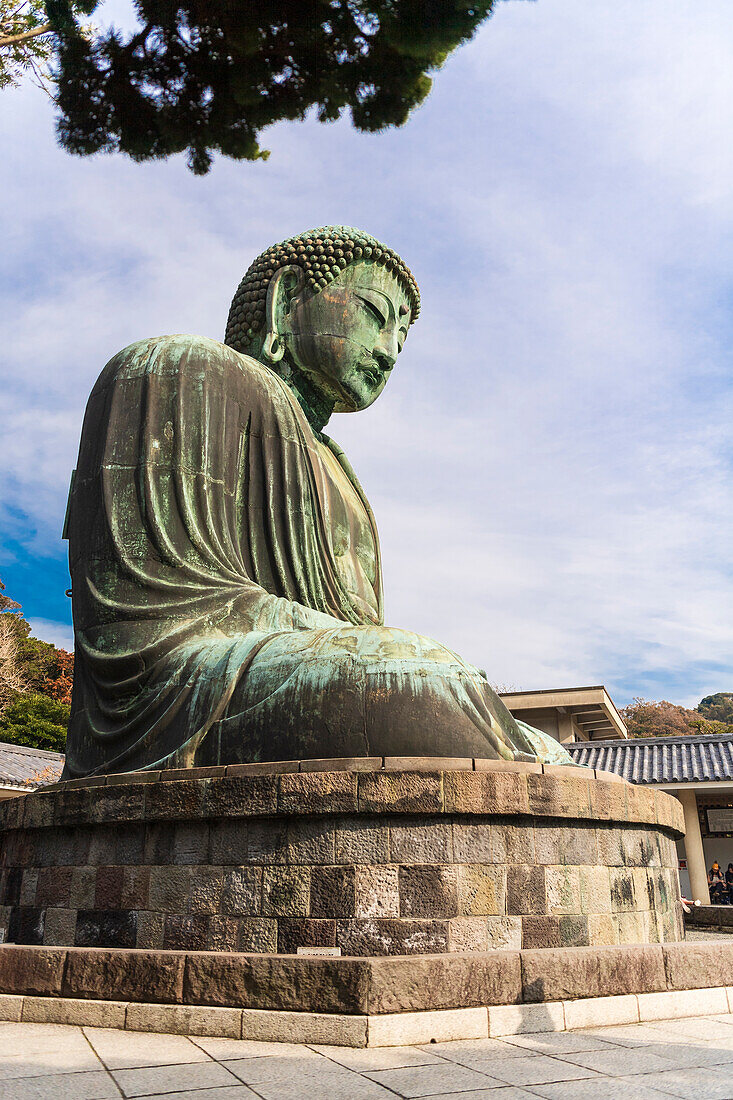 Der Daibutsu, der große Buddha, des buddhistischen Tempels in Kamakura, Japan.