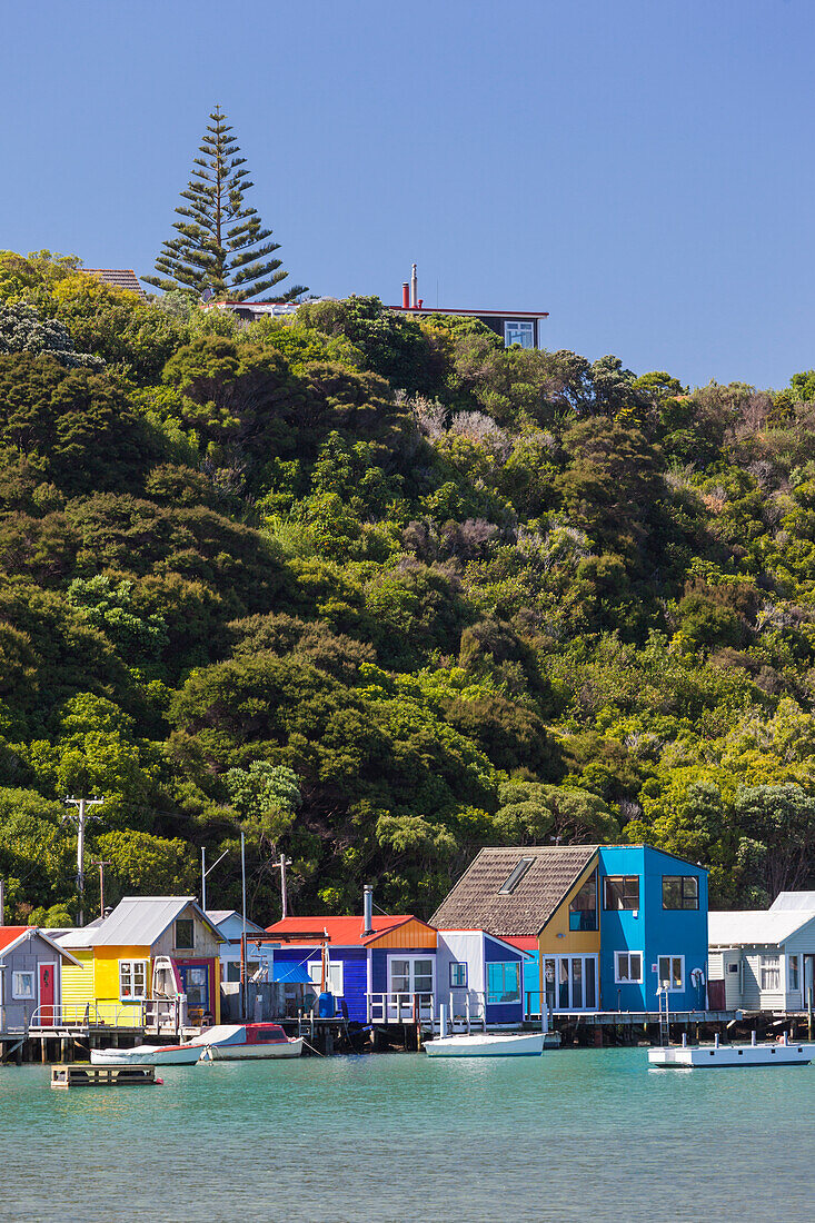 New Zealand, North Island, Paremata. Houses along Porirua Harbor