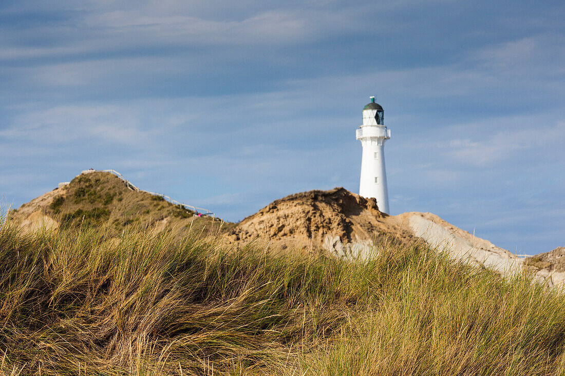New Zealand, North Island, Castlepoint. Castlepoint Lighthouse