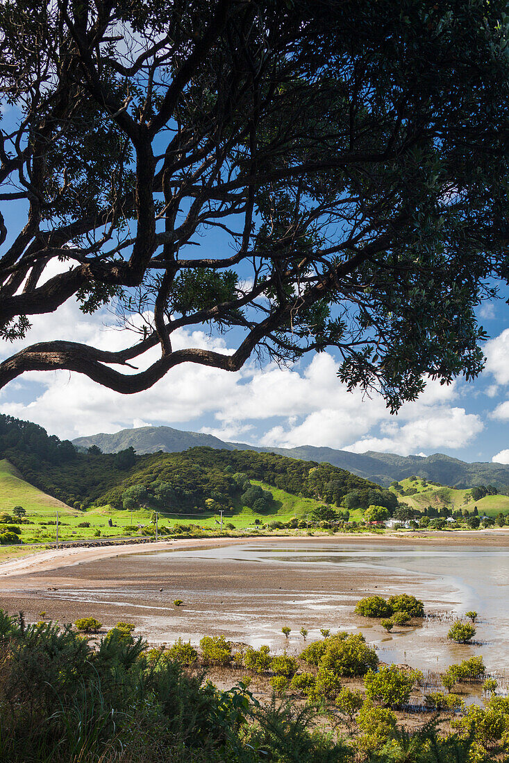 Neuseeland, Nordinsel, Coromandel-Halbinsel. Coromandel Stadt, Colville, Uferpromenade