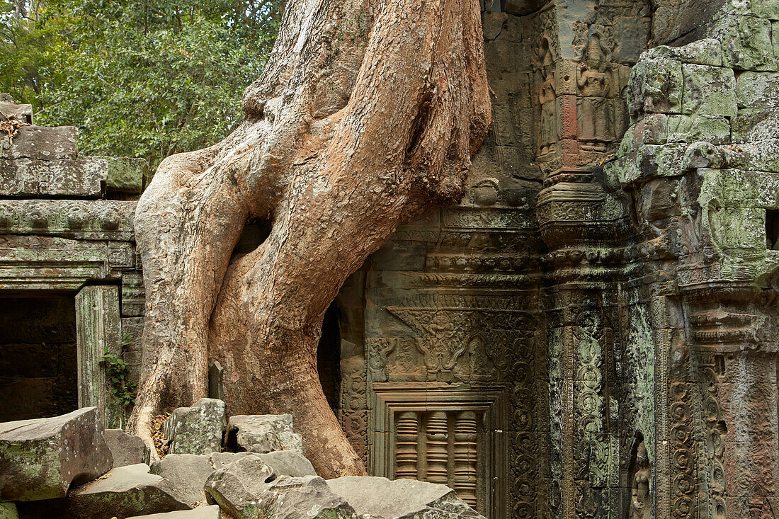 Phnom Bok temple ruins, Phnom Bok hill, Angkor World Heritage Site, near Siem Reap, Cambodia