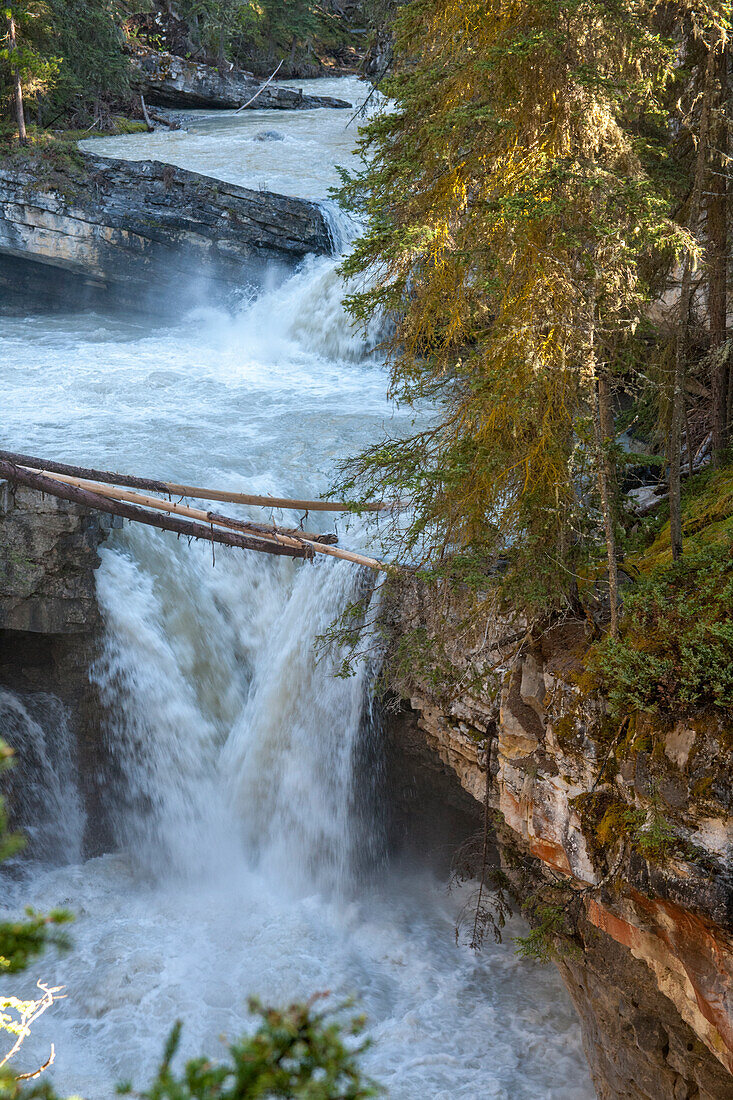 Jasper National Park, Alberta, Canada. Hike along Johnston Canyon River on the Lower and Upper Falls trail.