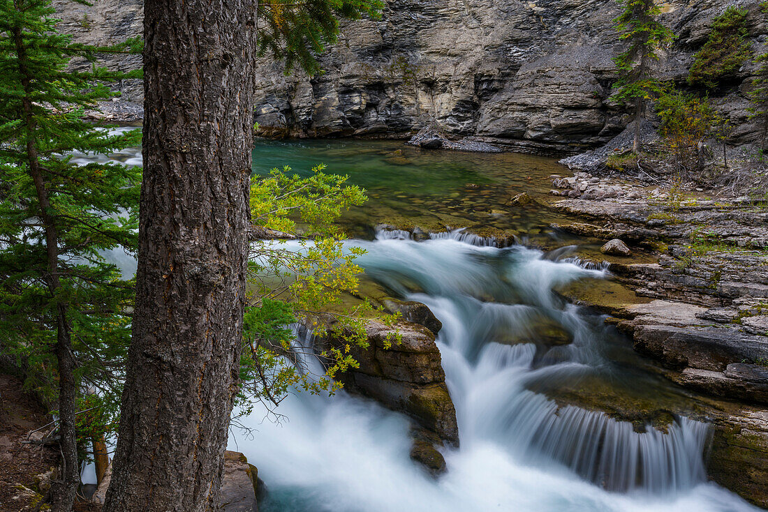 Canada, Alberta, Jasper National Park. Maligne Canyon waterfall.