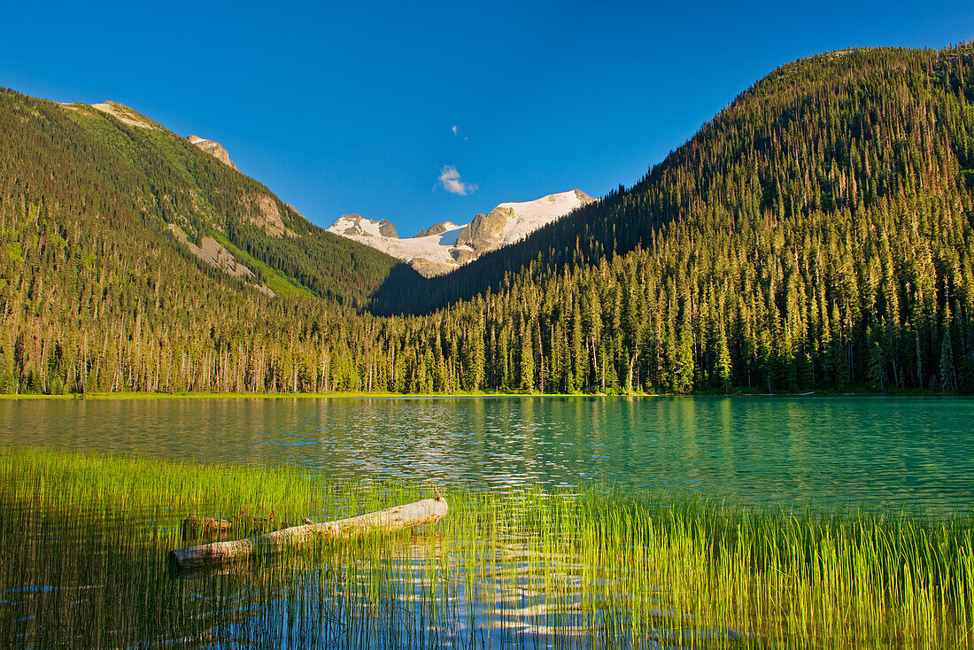 Canada, British Columbia, Joffre Lakes Provincial Park, Lower Joffre Lake landscape
