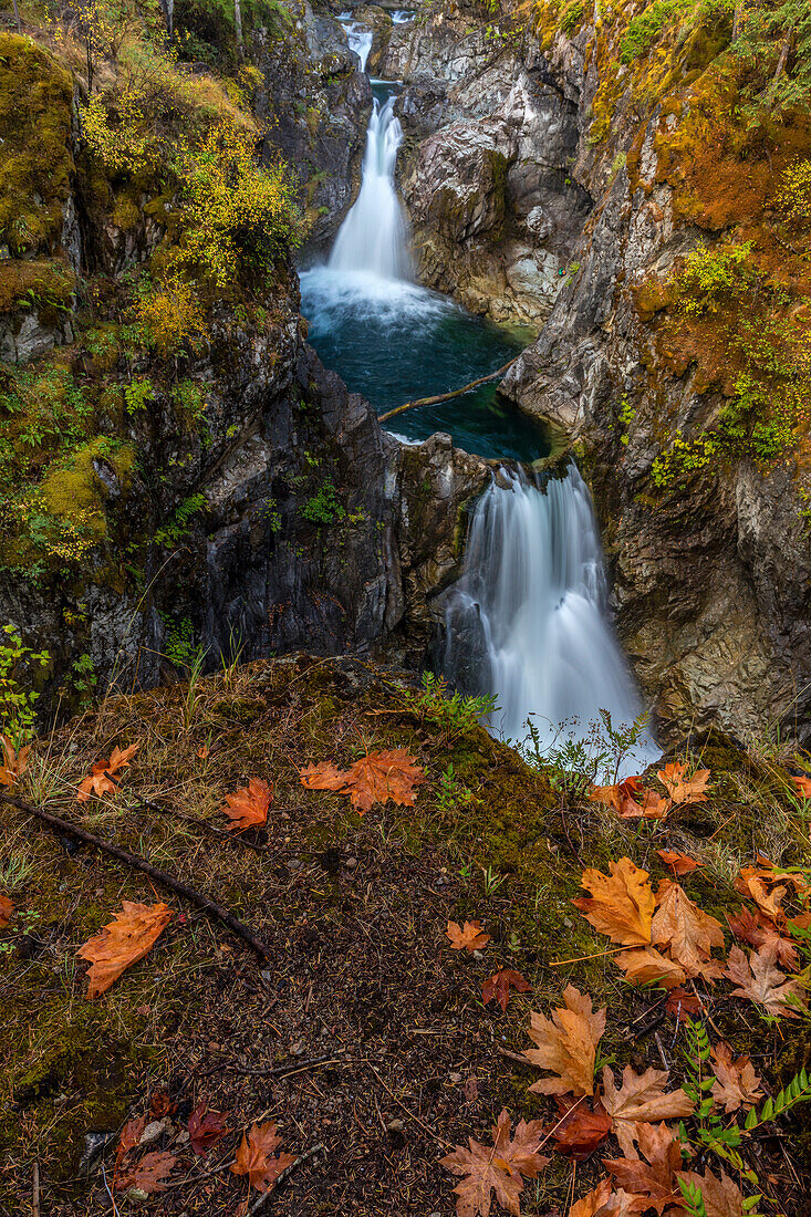 Little Qualicum Falls Provincial Park in der Nähe von Parksville, Britisch-Kolumbien, Kanada