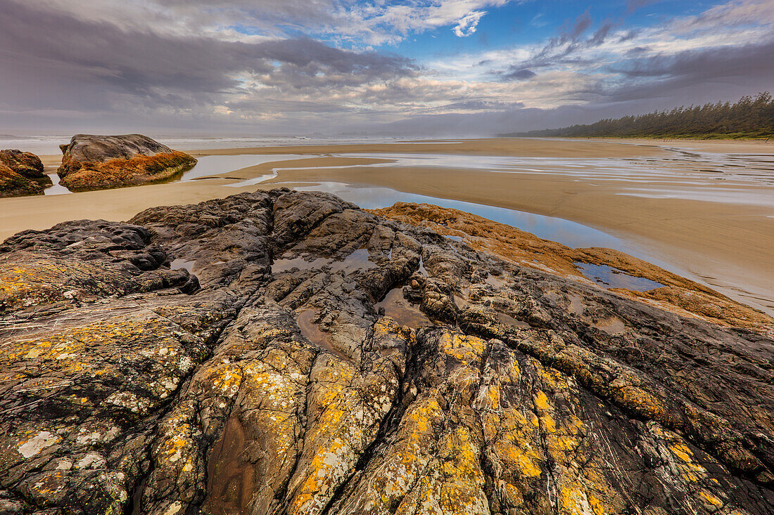 Tide pools along the Pacific Ocean coastline in Pacific Rim National Park Reserve near Tofino, British Columbia, Canada