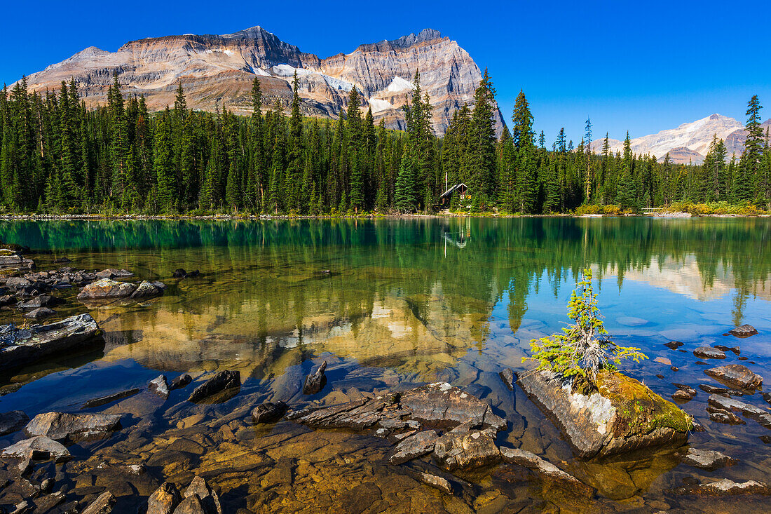 Mount Odaray above Lake O'hara, Yoho National Park, British Columbia, Canada