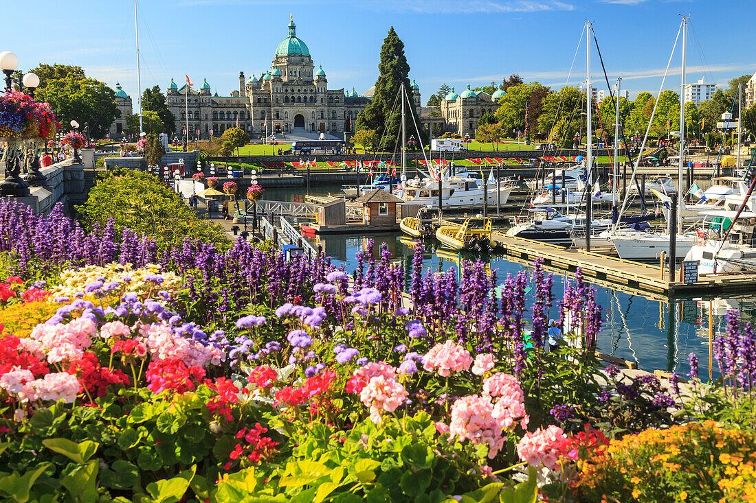 Summer flowers at Inner Harbour, Parliament Buildings behind, Victoria, Capital of British Columbia, Canada