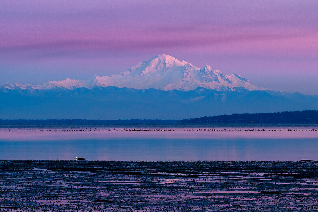 Canada, British Columbia, Boundary Bay. Mount Baker from the shoreline at sunset.