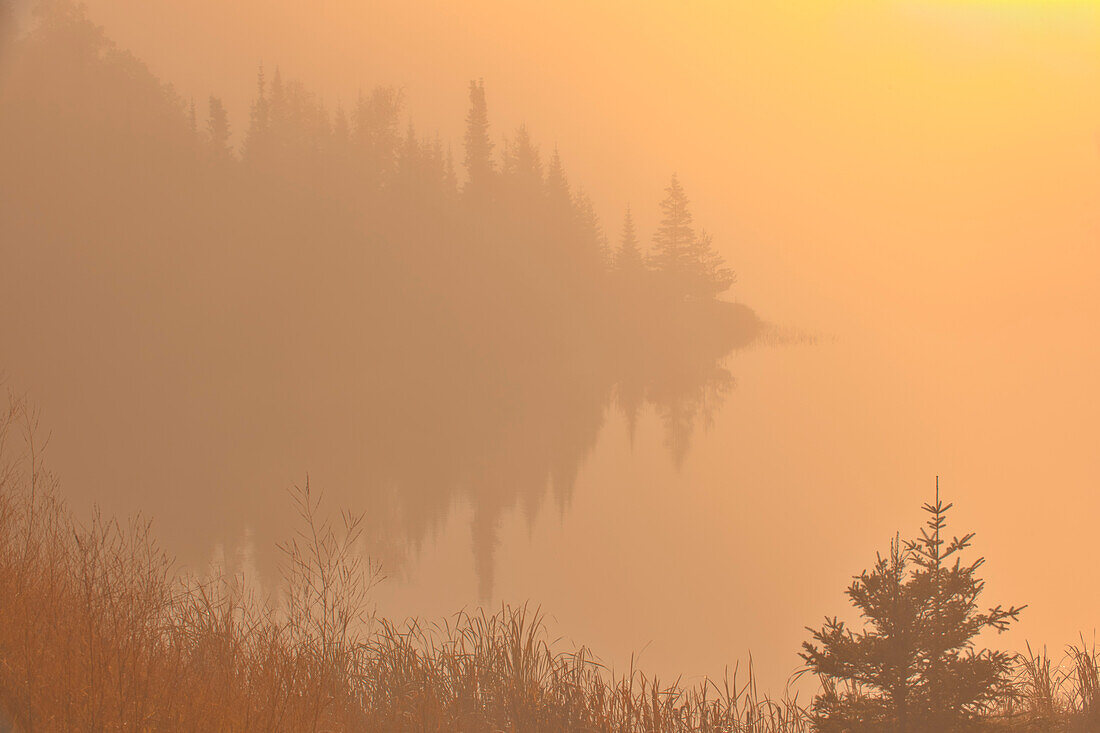 Kanada, Manitoba, Whiteshell Provincial Park, Bäume und Nebel bei Sonnenaufgang am Lyons Lake