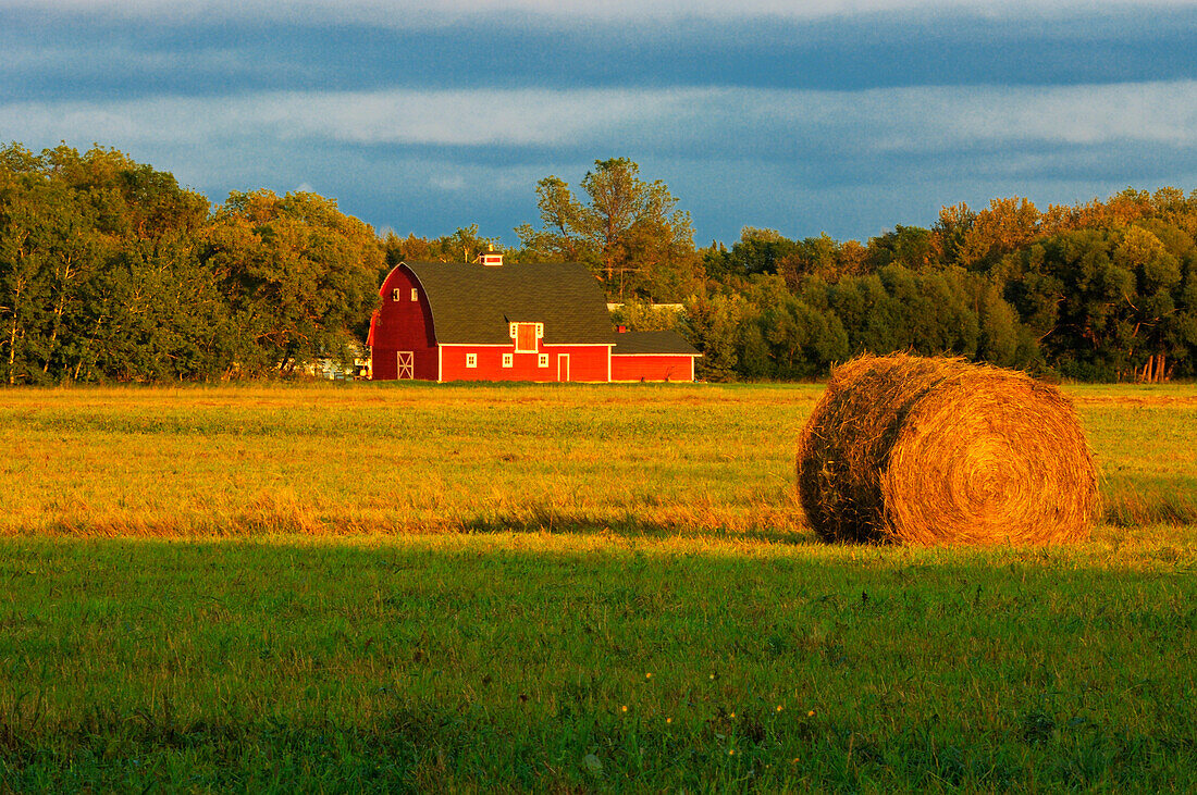 Canada, Manitoba, Matlock. Red barn and bale at sunrise