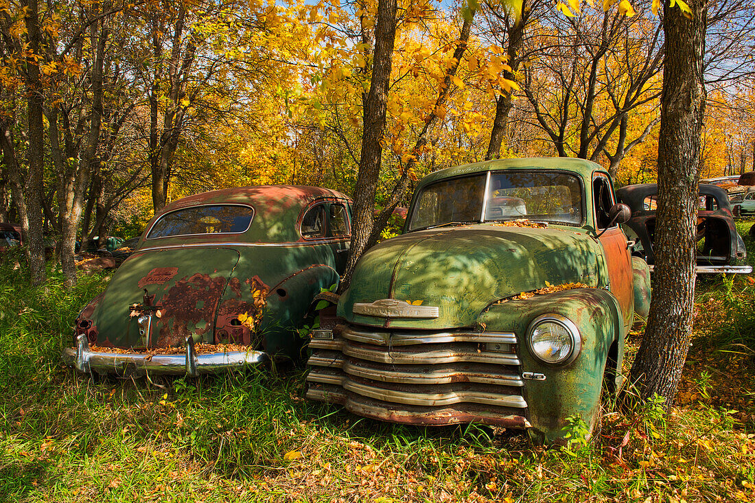 Canada, Manitoba, St. Lupicin. Vintage old vehicles in wrecking yard