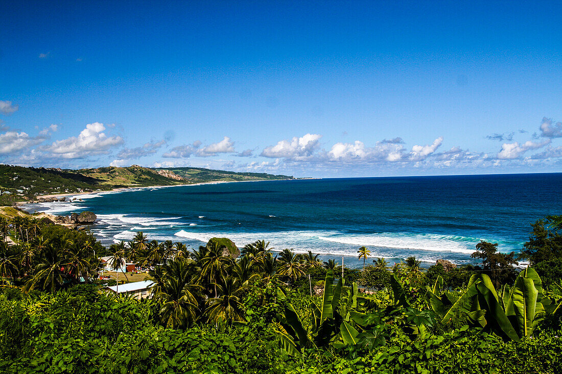 Bathsheba, Barbados. C-förmig gebogene Meeresküste mit Brandung und Palmen