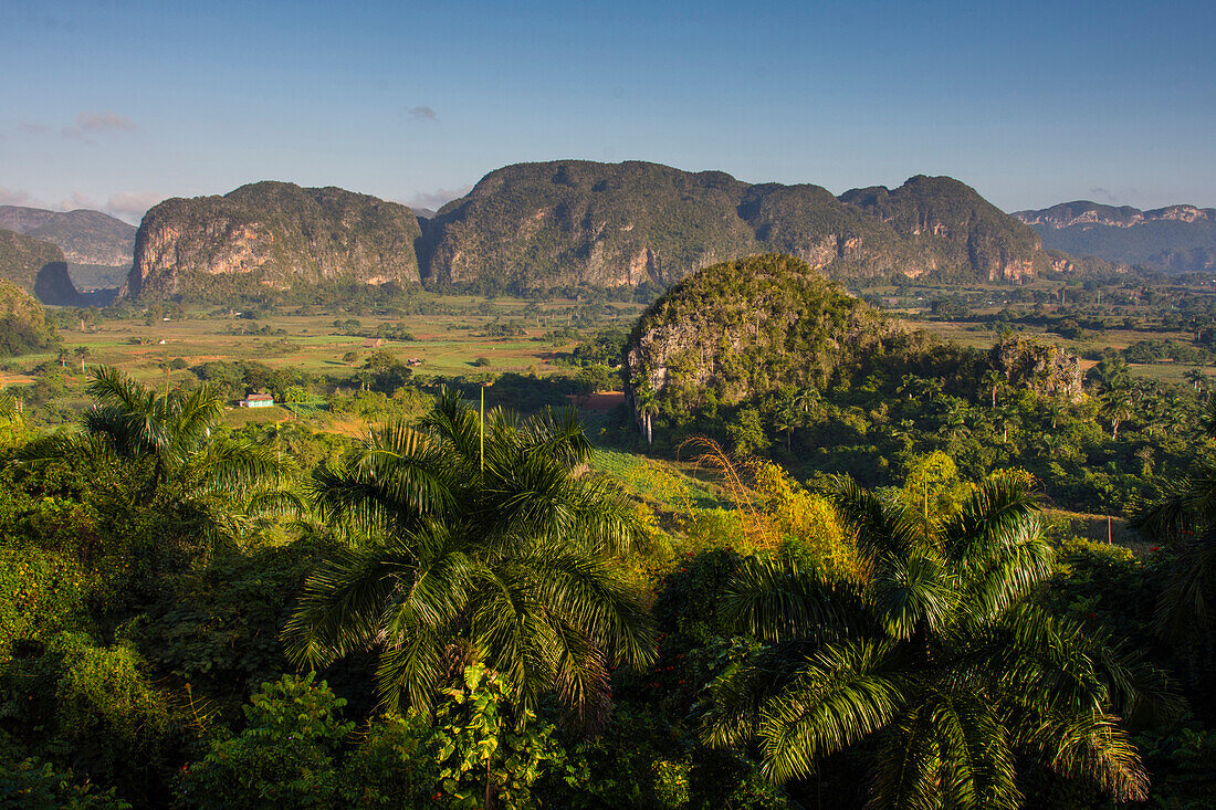 Cuba. Pinar del Rio. Vinales. The Vinales valley in the early morning.