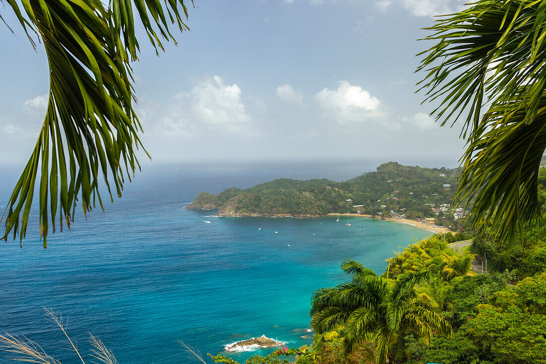 Karibik, Tobago. Castara Bay, Strand und Dschungellandschaft