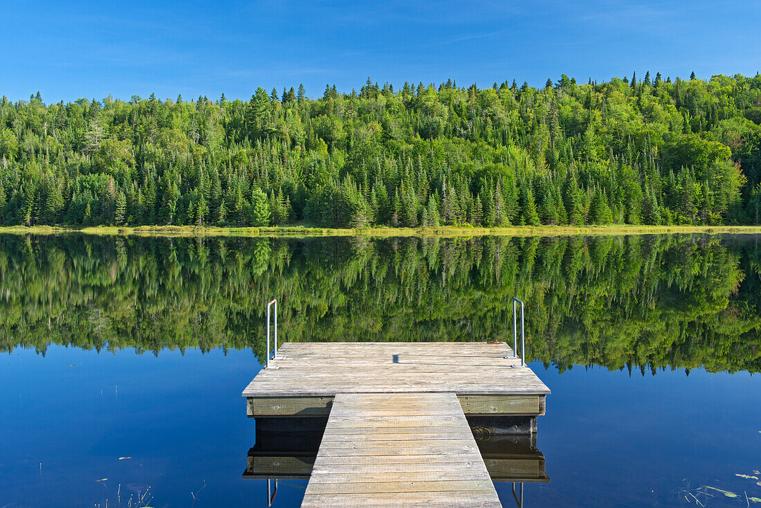 Canada, Quebec, La Mauricie National Park. Tree reflection and dock in Lac Modene