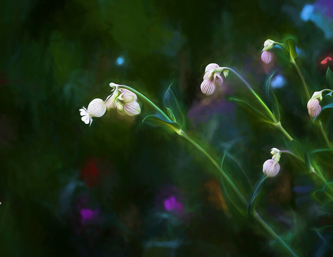 Painting rendition of wildflowers in spring