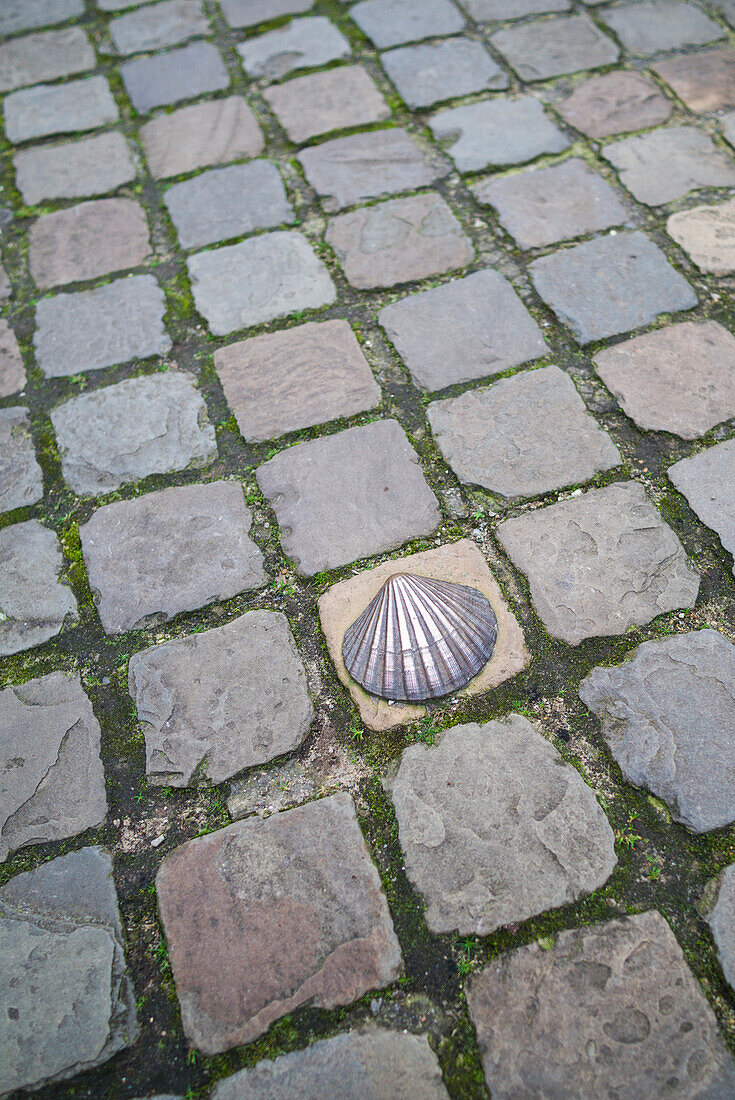 Belgien, Brügge. Bronzemuschel zur Kennzeichnung des religiösen Pilgerwegs Camino de Santiago