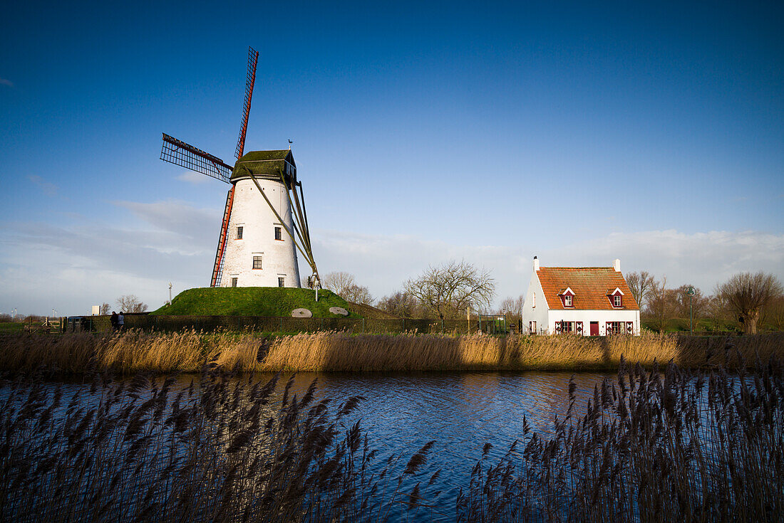 Belgium, Damme. Old wind mill