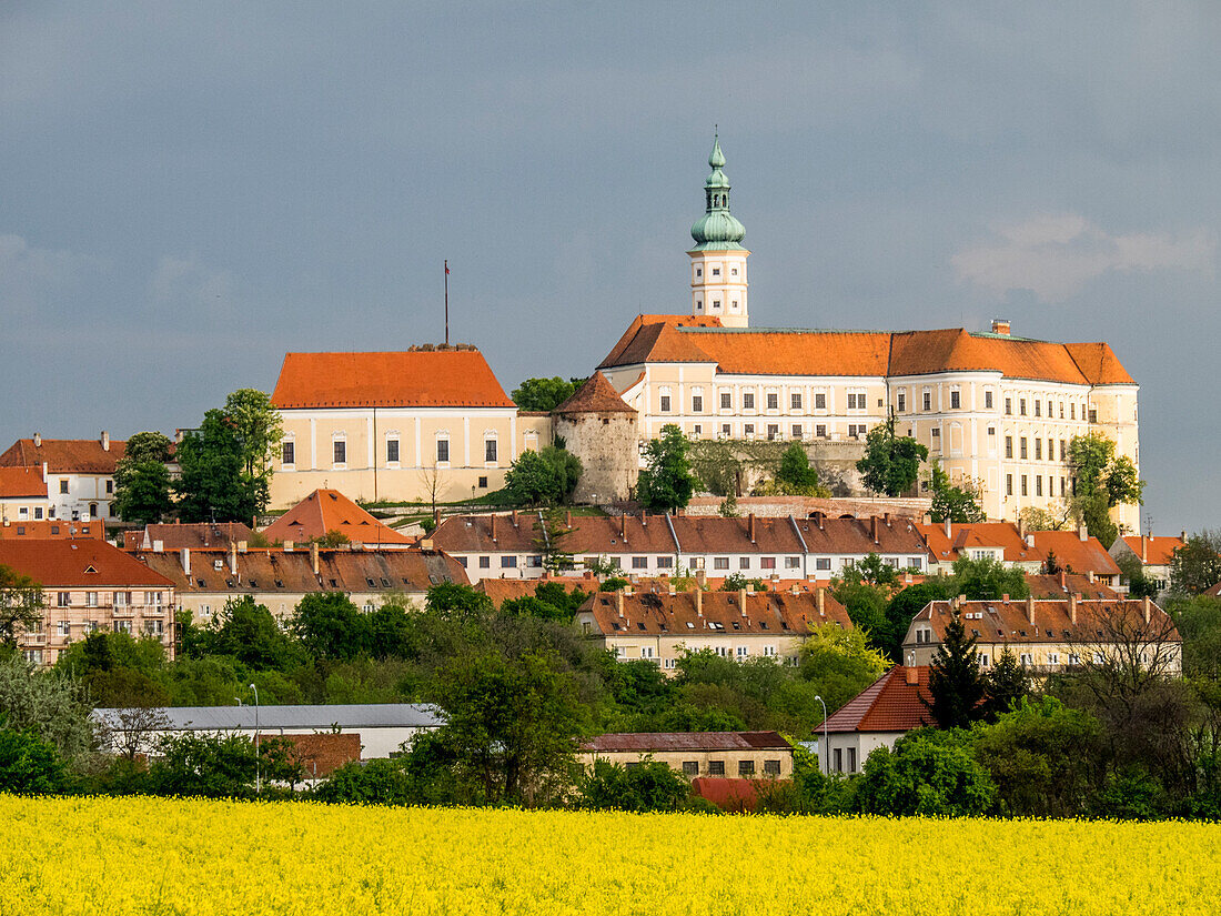 Tschechische Republik, Südmähren, Mikulov. Schloss Mikulov (Nikolsburg) und Altstadt.
