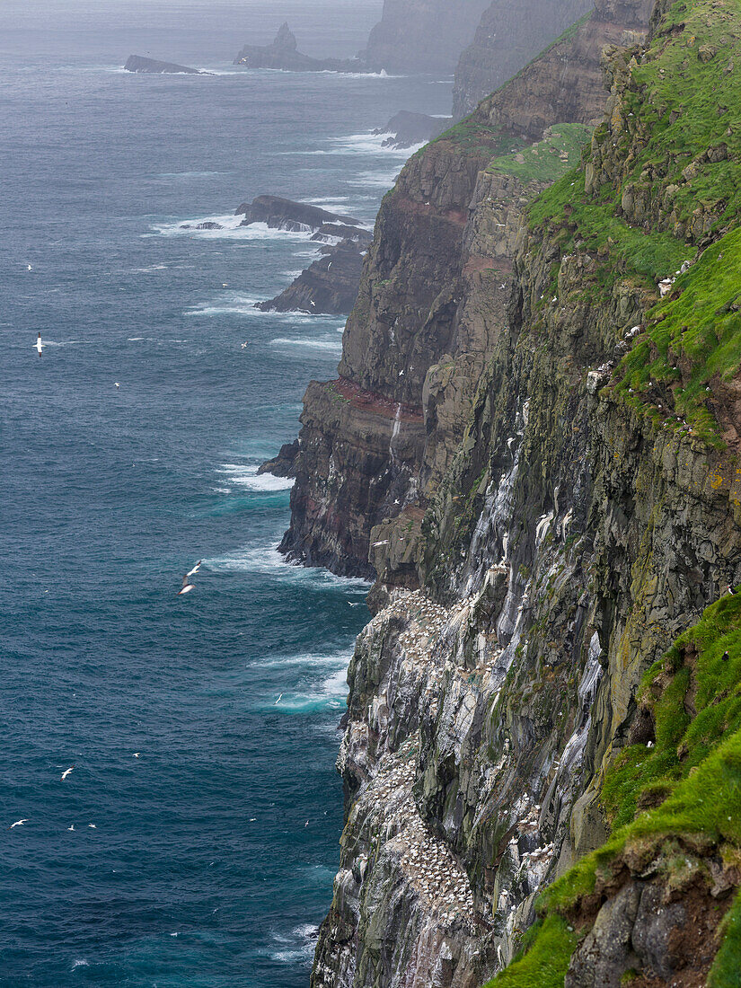 Insel Mykines, Teil der Färöer Inseln im Nordatlantik. Dänemark